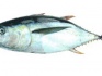 Свежемороженная рыба, макрель, лангустин, креветки - фотография №2