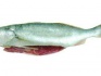 Свежемороженная рыба, макрель, лангустин, креветки - фотография №5