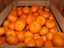 Абхазские мандарины оптом выгодно! - фотография №3