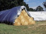 Полог (тент) tarpaulins - для укрытия сена/соломы и зерна. - фотография №1
