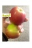 Яблоки оптом - фотография №3