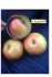 Яблоки оптом - фотография №4