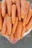 Морковь без посредников - фотография №3
