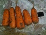 Продам морковь - фотография №2