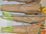 Тюльпаны в абакане оптом от производителя - фотография №1