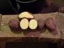 Картофель оптом от производителя - фотография №3