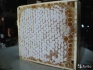 Натуральный пчелиный мёд - фотография №3