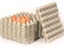 Линия для производства бугорчатых прокладок для яиц - фотография №1