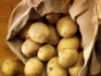 Продаем домашний картофель картошку - фотография №5