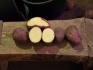 Продовольственный картофель, оптом, с доставкой, сорт: ред-скарлет - фотография №1