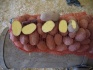 Продовольственный картофель, оптом, с доставкой, сорт: винета - фотография №5