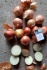 Реализуем оптом: лук репчатый,капуста б/к,морковь - фотография №3