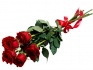 Розы с доставкой - фотография №4