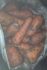 Продам морковь абака второго сорта - фотография №3