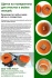 Полиуретановые изделия разной жесткости различных форм. щетки, ролики - фотография №6