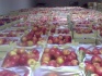 Яблоки оптом напрямую от производителя от 52 руб./кг. - фотография №1