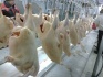 Мясо птицы недорого - фотография №2