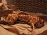 Диетическое мясо кролика - фотография №2