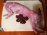 Диетическое мясо кролика - фотография №6