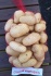 Продаем мытый картофель - фотография №1