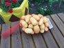 Продаем мытый картофель - фотография №2