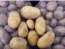 Продаём продовольственный картофель от производителя, сорт улодар - фотография №1