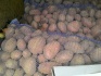 Продам картофель, мелким и крупным оптом, в самаре - фотография №4