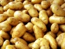 Продажа картофеля оптом - фотография №2