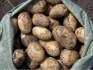 Продажа картофеля оптом - фотография №3