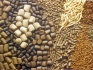 Комбикорм зерно отруби добавки для животных - фотография №1