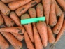 Морковь - фотография №1