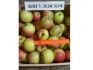 Предлагаем яблоки из самарской обл. от фермера - фотография №1