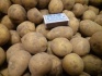 Продажа картофеля оптом - фотография №1
