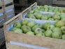 Деревянные ящики из шпона для упаковки фруктов и овощей - фотография №4
