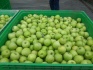 Яблоки оптом от производителя - фотография №5