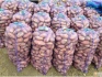 Продам картофель оптом волгоградская область. - фотография №1