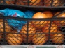 Перец, томаты, мандарины, апельсины турция. - фотография №1