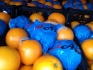 Апельсины турция - фотография №5