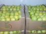 Яблоко крым от производителя - фотография №2