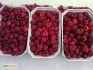 Пластиковые лотки под фрукты, ягоды - фотография №4