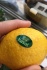 Экзотические фрукты, томаты, лимон - фотография №5