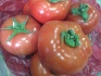 Огурцы помидоры оптом - фотография №6