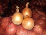 Яблоки оптом 65+ от производителя 41р/кг - фотография №3
