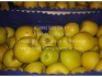 Яблоки, 8 сортов, оптом от 10 кг - фотография №2