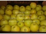 Яблоки, 8 сортов, оптом от 10 кг - фотография №3
