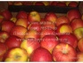 Яблоки, 8 сортов, оптом от 10 кг - фотография №4