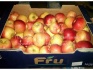 Яблоки, 8 сортов, оптом от 10 кг - фотография №6