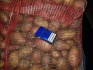 Картофель оптом, молодой, сорт Ред Скарлет, калибр 4,5+, отгрузка Бря