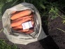 Продажа моркови - фотография №1