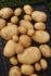 Картофель оптом 3,5+ от производителя 7,5 р./кг. - фотография №4
